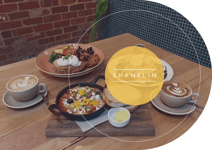 Website Design