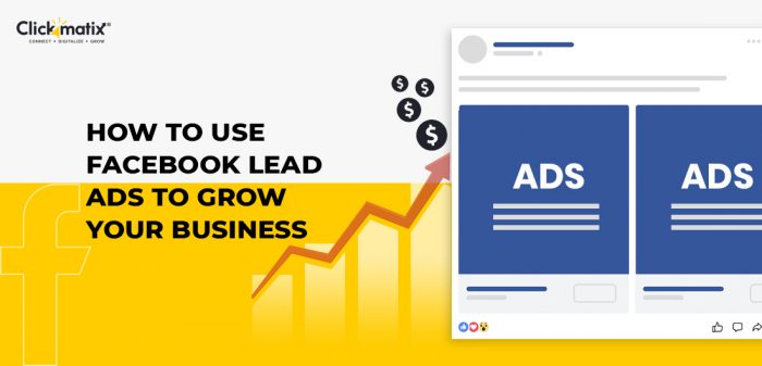 How To Use Facebook Lead Ads To Grow Your Business