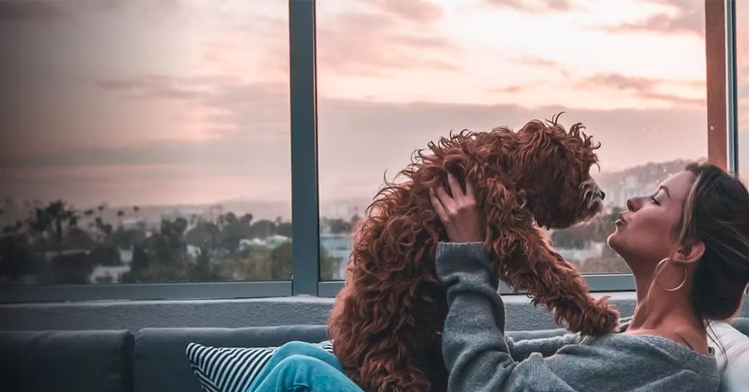 Happy House Sitters banner (1)